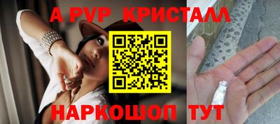дживик Моздок